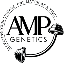 AMP Genetics : AMP Genetics